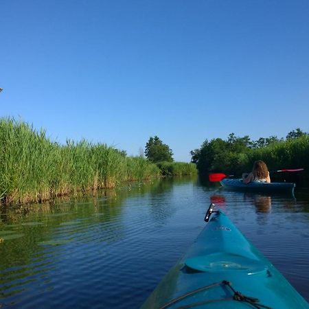 B&B De Zilverreiger Belt-Schutsloot Exteriér fotografie