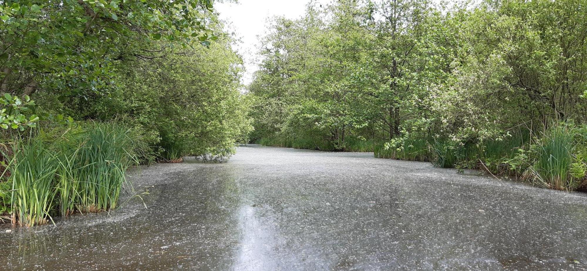 B&B De Zilverreiger Belt-Schutsloot Exteriér fotografie