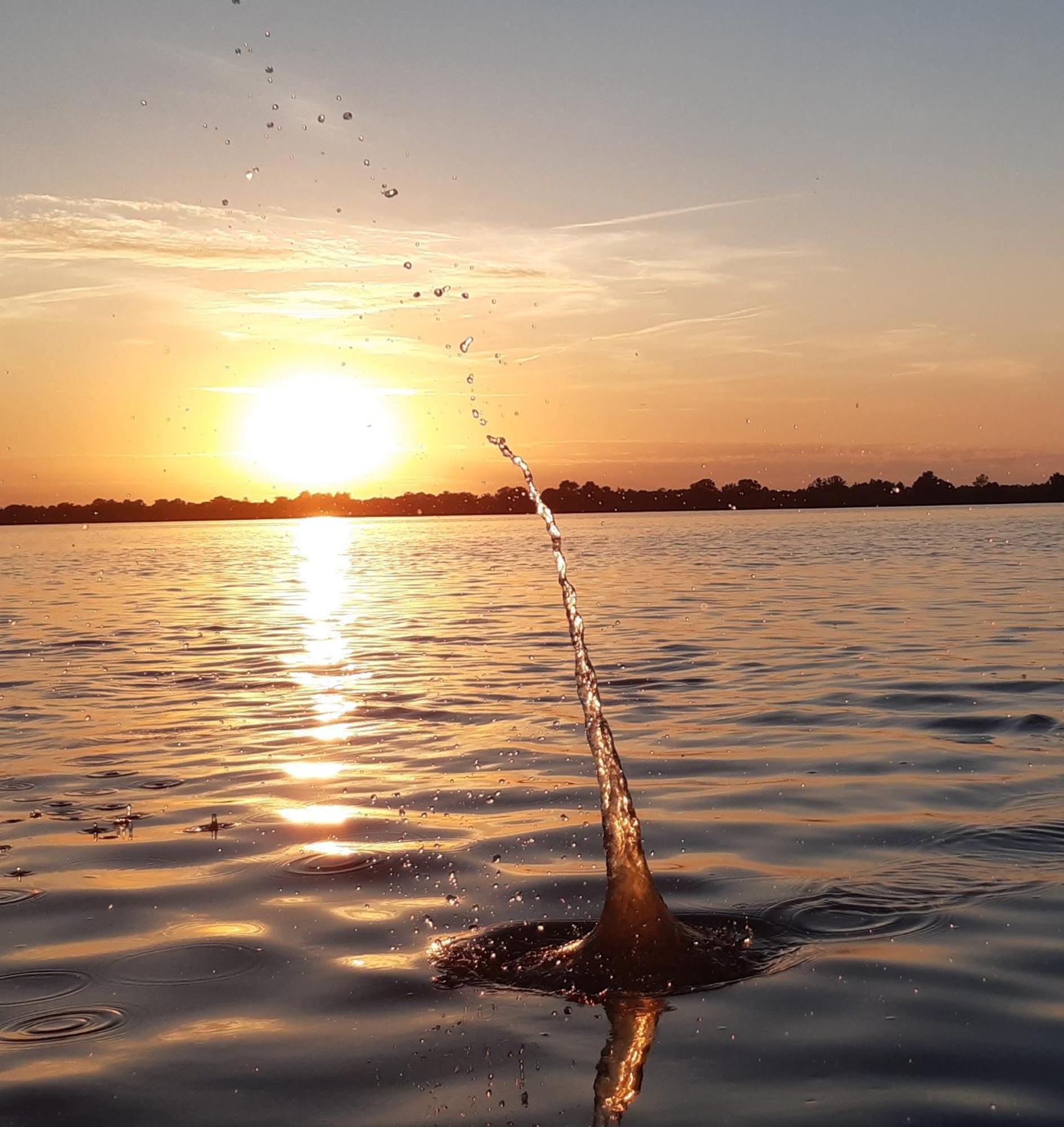 B&B De Zilverreiger Belt-Schutsloot Exteriér fotografie