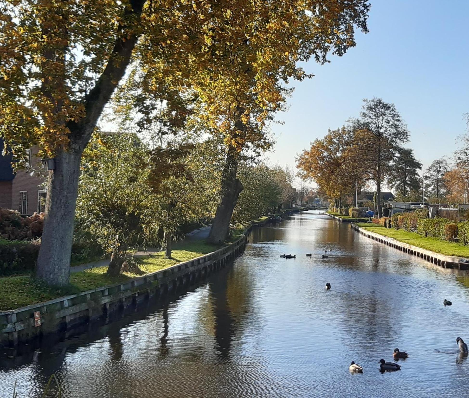 B&B De Zilverreiger Belt-Schutsloot Exteriér fotografie